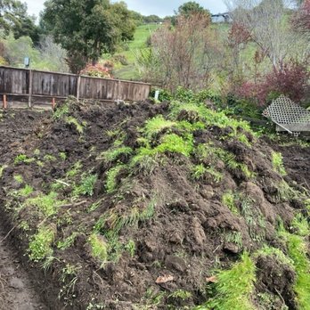 True Hauling - They removed a ton of dirt and concrete for us. Thanks Carlos, we appreciate the job well done - Demolition Services Near Me True Hauling - They removed a ton of dirt and concrete for us. Thanks Carlos, we appreciate the job well done - Demolition Services Near Me