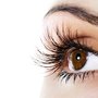 Photo of Perfect Lash Extensions