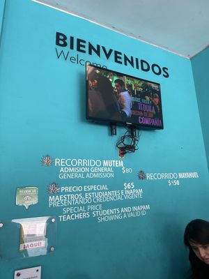 Museum of Tequila and Mezcal by null