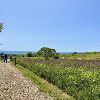 Aquinnah Cliffs Overlook - Local Flavor Near Me - Aquinnah, Massachusetts Aquinnah Cliffs Overlook - Local Flavor Near Me - Aquinnah, Massachusetts