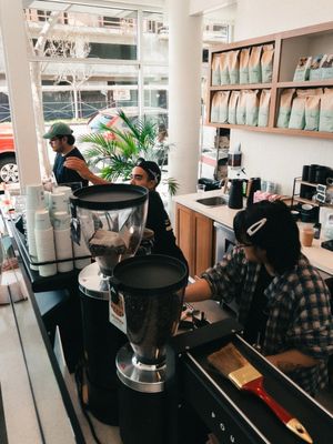 The Little Marionette by null