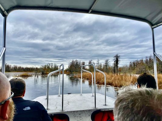 Okefenokee National Wildlife Refuge by null
