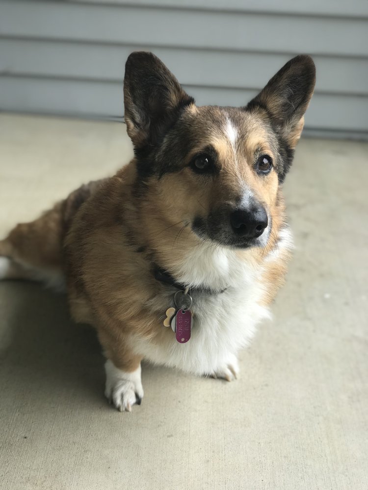 Slide of Briggs Plumbing