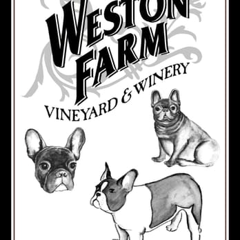 Weston Farm Vineyard & Winery - a dog and a cat - Wineries Near Me - Louisa, Virginia Weston Farm Vineyard & Winery - a dog and a cat - Wineries Near Me - Louisa, Virginia
