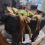Mi Casa Mexican Cuisine