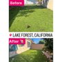 Photo of Pet waste removal 