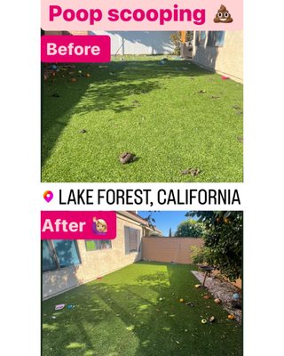 Before and after 🥳 - Reasons for hiring a pet waste removal company
To keep the house clean:
Dogs poop everywhere in the house, even on the carpet, which frequently creates the issue and makes dog owners reluctant to clean it up. Hire a pet waste collection service to solve this issue.
To keep home germs free:
For a bacteria-free house and garden, hire a pet waste collection service. since dog poop causes environmental pollution and health problems for both dogs and their owners.
To keep the environment & groundwater clean:
Pet waste negatively impacts the environment, and its effects can be seen in the form of water loss and soil loss, among other things. A pet waste collection service can
Maintain a pleasant and odor-free lawn and surroundings.
After hiring a pet waste removal service provider, you may save important time and preserve the yard and surrounding area odour- and sight-free. Before and after 🥳 - Reasons for hiring a pet waste removal company
To keep the house clean:
Dogs poop everywhere in the house, even on the carpet, which frequently creates the issue and makes dog owners reluctant to clean it up. Hire a pet waste collection service to solve this issue.
To keep home germs free:
For a bacteria-free house and garden, hire a pet waste collection service. since dog poop causes environmental pollution and health problems for both dogs and their owners.
To keep the environment & groundwater clean:
Pet waste negatively impacts the environment, and its effects can be seen in the form of water loss and soil loss, among other things. A pet waste collection service can
Maintain a pleasant and odor-free lawn and surroundings.
After hiring a pet waste removal service provider, you may save important time and preserve the yard and surrounding area odour- and sight-free.