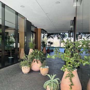 milk + honey - The Loren - View from Valet parking towards Milk +Honey-Loren. - Medical Spas Near Me - Austin, Texas