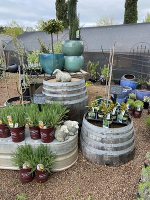 Durant at Red Ridge Farms by null