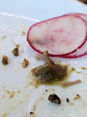 Pixán Taqueria & Cantina by null