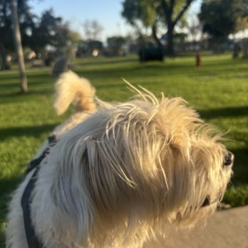 Baldy View Dog Park - Baileys profile - Dog Parks Near Me - Upland, California