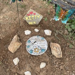 Animal Emergency Center - Gone now but forever remembered