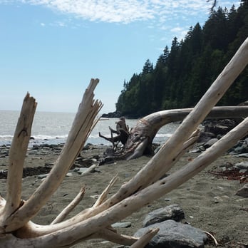 Fundy National Park - Absolutely spectacular place.  The diversity of landscape and biological diversity is jaw dropping - Parks Near Me - Alma, New Brunswick