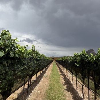 Los Milics Vineyards - Wine Tasting Room Near Me - Elgin, Arizona