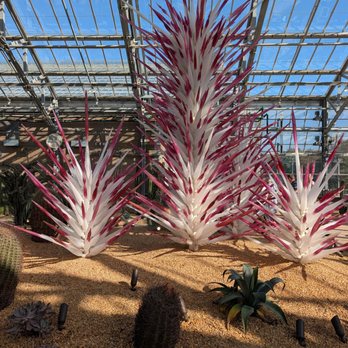 Norfolk Botanical Garden - Venues & Event Spaces Near Me - Norfolk, Virginia Norfolk Botanical Garden - Venues & Event Spaces Near Me - Norfolk, Virginia