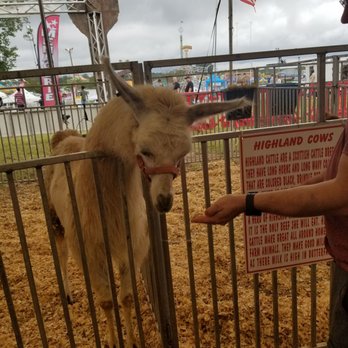 Georgia State Fair - No visible damage - Festivals Near Me - Hampton, Georgia