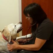 Centennial Hills Animal Hospital 87 Photos 202 Reviews