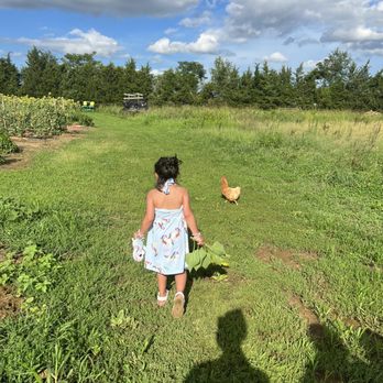 Braehead Farm - Farmers Market Near Me - Fredericksburg, Virginia