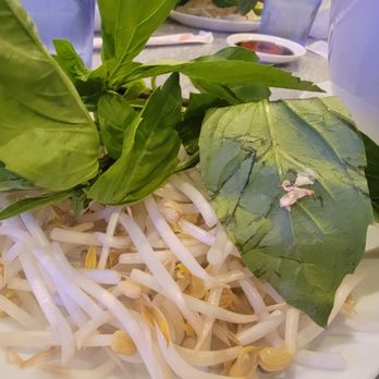 Lotus Pho Vietnamese Kitchen - Fresh Vegetables for each bowl of pho - Coffee & Tea Near Me - Goodyear, Arizona Lotus Pho Vietnamese Kitchen - Fresh Vegetables for each bowl of pho - Coffee & Tea Near Me - Goodyear, Arizona