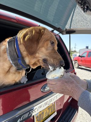 Homestead Creamery by null