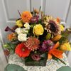 Blooms at the Hills Florist gift card