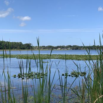 John Chesnut Sr Park - Parks Near Me - Palm Harbor, Florida