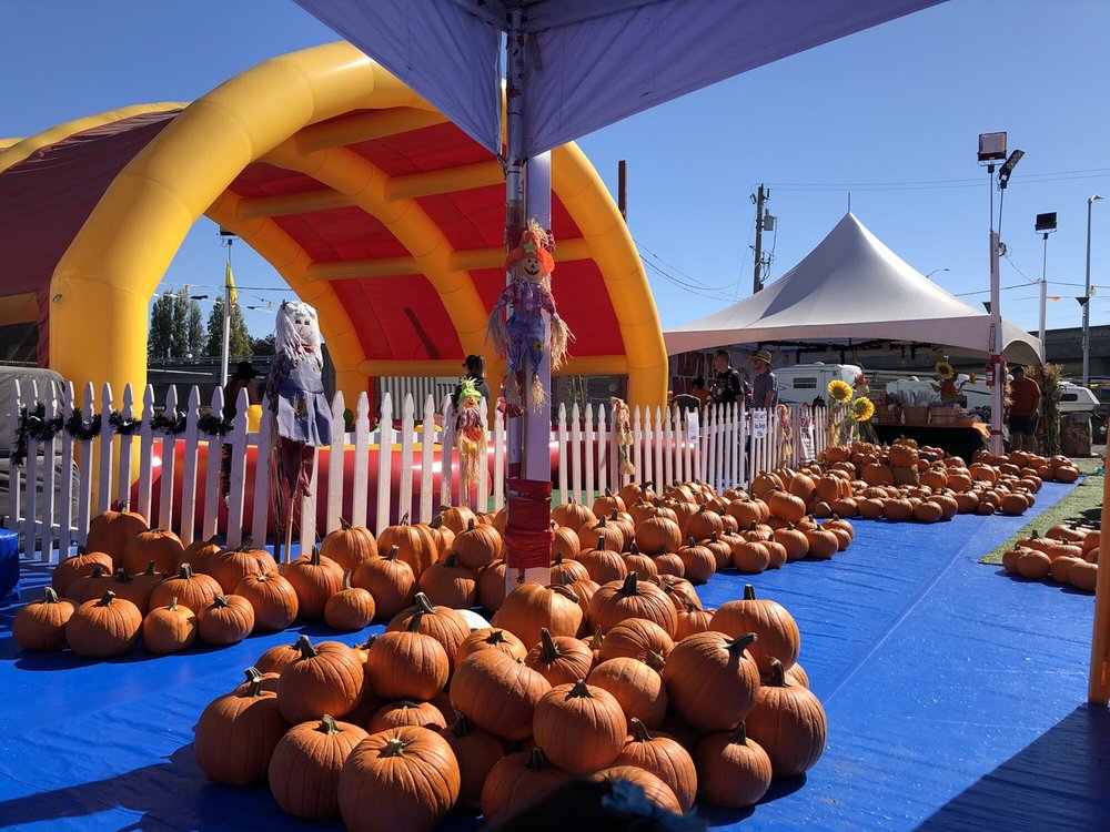 ABC TREE FARMS & PICK OF THE PATCH PUMPKINS 24 Photos & 19 Reviews