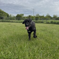 Sundance Kennels