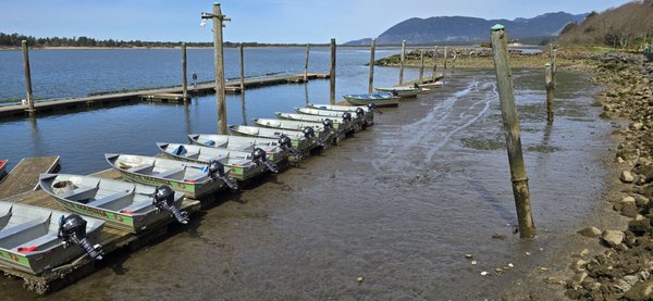 Kelly's Brighton Marina & Campground by null