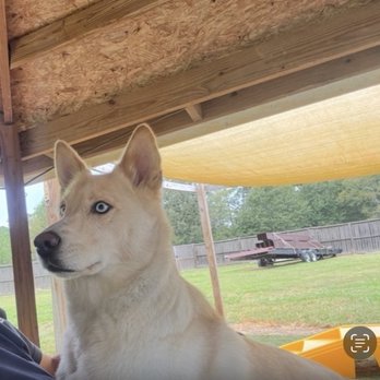 Almost Home Pet Retreat - Pet Sitting Near Me - Conroe, Texas Almost Home Pet Retreat - Pet Sitting Near Me - Conroe, Texas