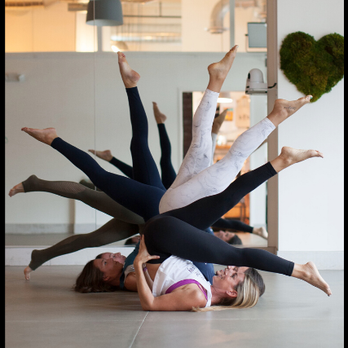 Bulldog Yoga - Yoga Near Me - Malvern, Pennsylvania Bulldog Yoga - Yoga Near Me - Malvern, Pennsylvania
