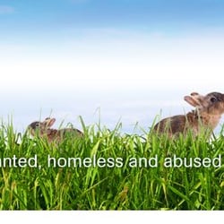 Freshfields Animal Rescue Centre - from www.freshfieldsrescue.org.uk