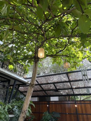 Casa Botánica Hotel by null