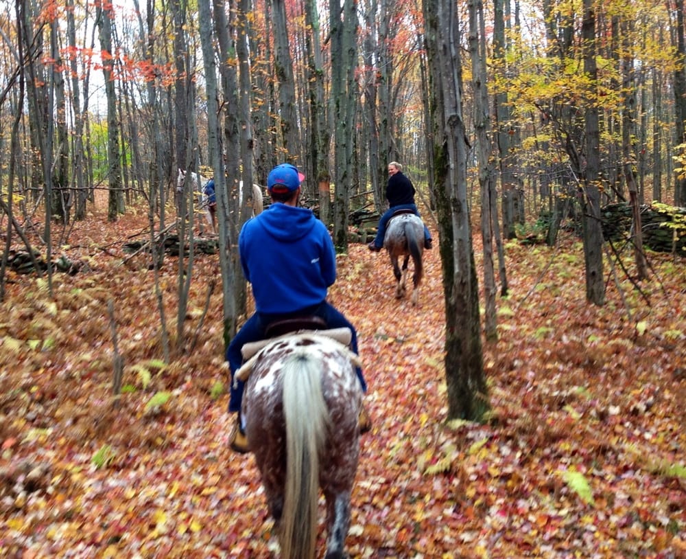 Country Meadows Equine - equestrian in Walton, NY