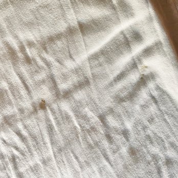 Agua de Vid - Filthy sheets - Hotels Near Me - Ensenada, BCN
