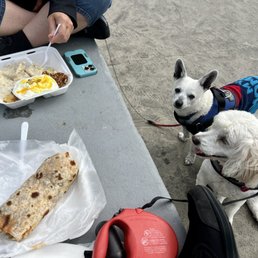 Biscuits and gravy plus hash browns and egg. Chorizo breakfast burrito. Biscuits and gravy plus hash browns and egg. Chorizo breakfast burrito.