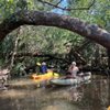 Florida Eco-Adventures gift card