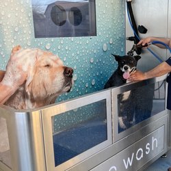 New pet wash machine