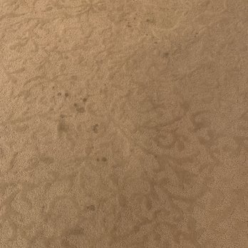 All Brite America - Before - Carpet Cleaning Near Me