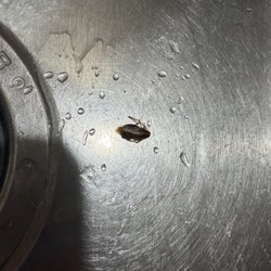 Haverkamp Properties