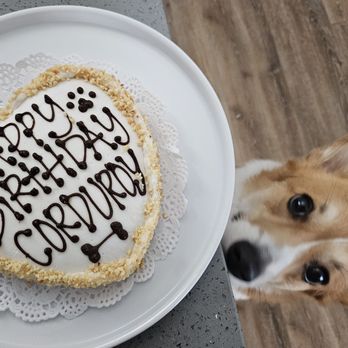The Dog Bakery - Pet Stores Near Me - Long Beach, California