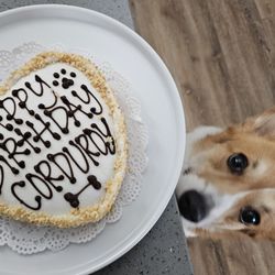 The Dog Bakery Giftly Beautiful Gift Card Alternative