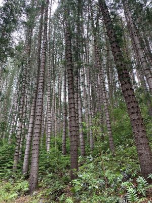 Hauʻula Loop Trail by null