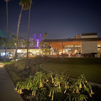 ARLO - Beautiful outdoor dining. - New American Near Me - San Diego, California ARLO - Beautiful outdoor dining. - New American Near Me - San Diego, California