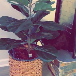 The Outlet - Faux fiddle leaf I found at the outlet!