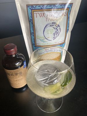 Wonderbird Spirits by null