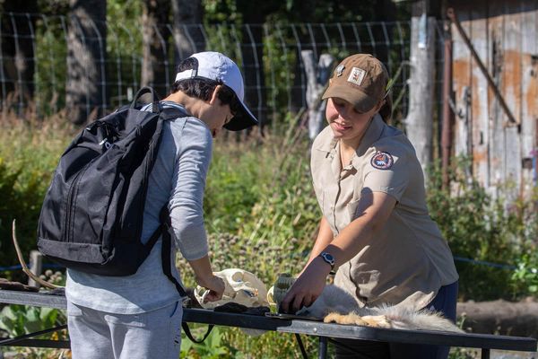 Alaska Wildlife Conservation Center by null