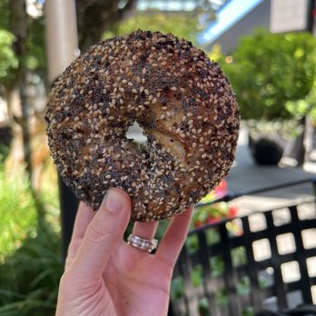 Hey Bagel - Everything Bagel - Coffee & Tea Near Me - Seattle, Washington Hey Bagel - Everything Bagel - Coffee & Tea Near Me - Seattle, Washington