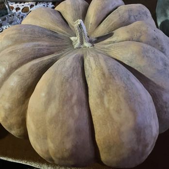 Little Field Farms - My pumpkin ready to decorate! - Farms Near Me - Loomis, California Little Field Farms - My pumpkin ready to decorate! - Farms Near Me - Loomis, California