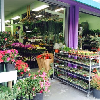 Orchid 2 Orchid - The entrance - Florists Near Me - Los Angeles, California Orchid 2 Orchid - The entrance - Florists Near Me - Los Angeles, California